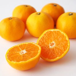 夢みかん | コンセク・フード